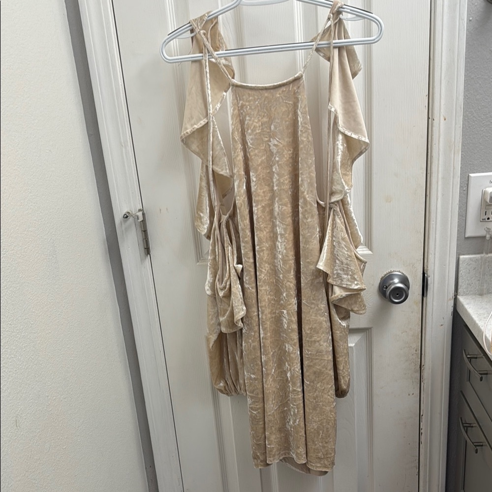 Elegant Beige Velvet Dress